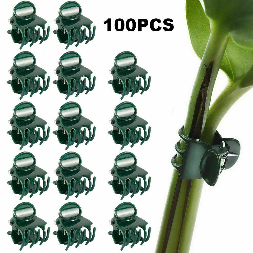 100PCS Plant Support Fix Clips Orchid Stem Vines Grow Support Tied Branch Set