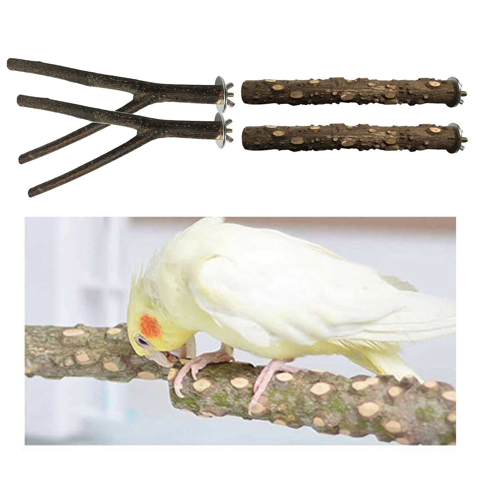 4Pack Wood Parrot Stand Tree Branch Toys Perch Climbing Grinding Standing