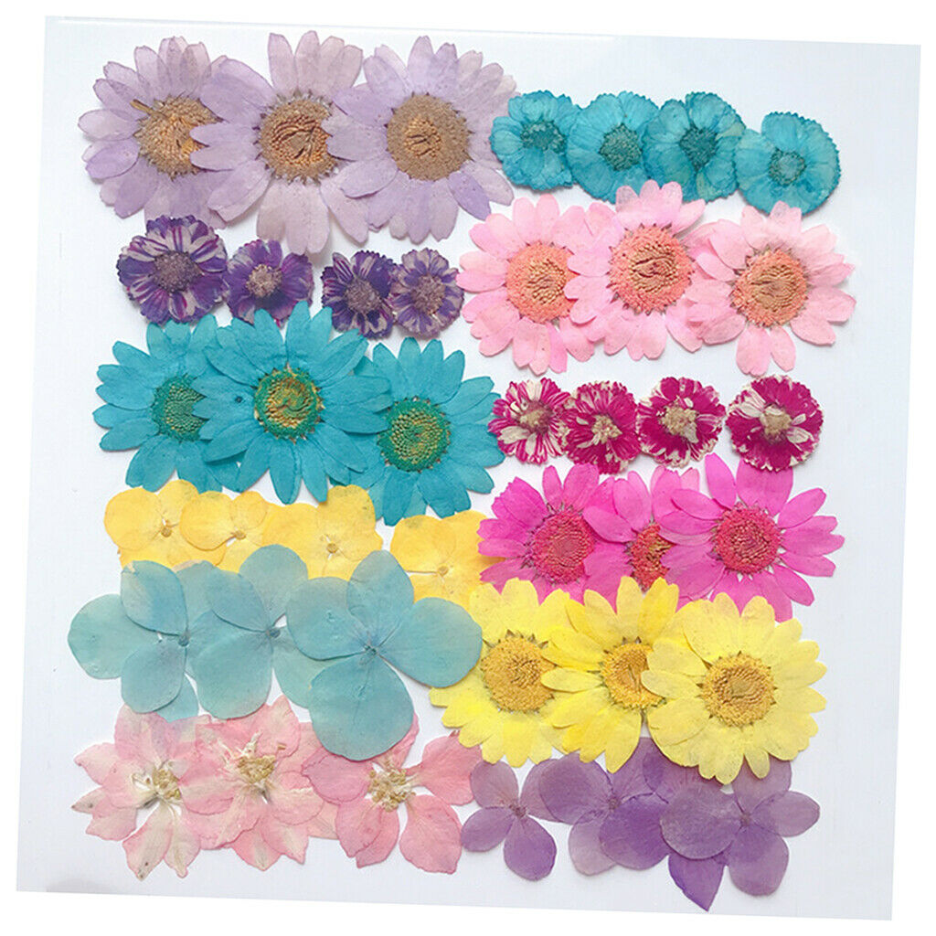 1Bag Assorted Natural Dried Flowers Embellishments Crafts Soap Card Making