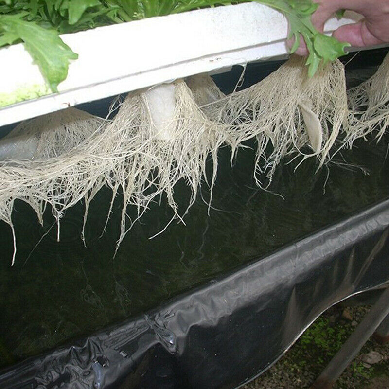Hydroponic Vegetable Floating Board Soilless Cultivation Equipment Foam B.l8