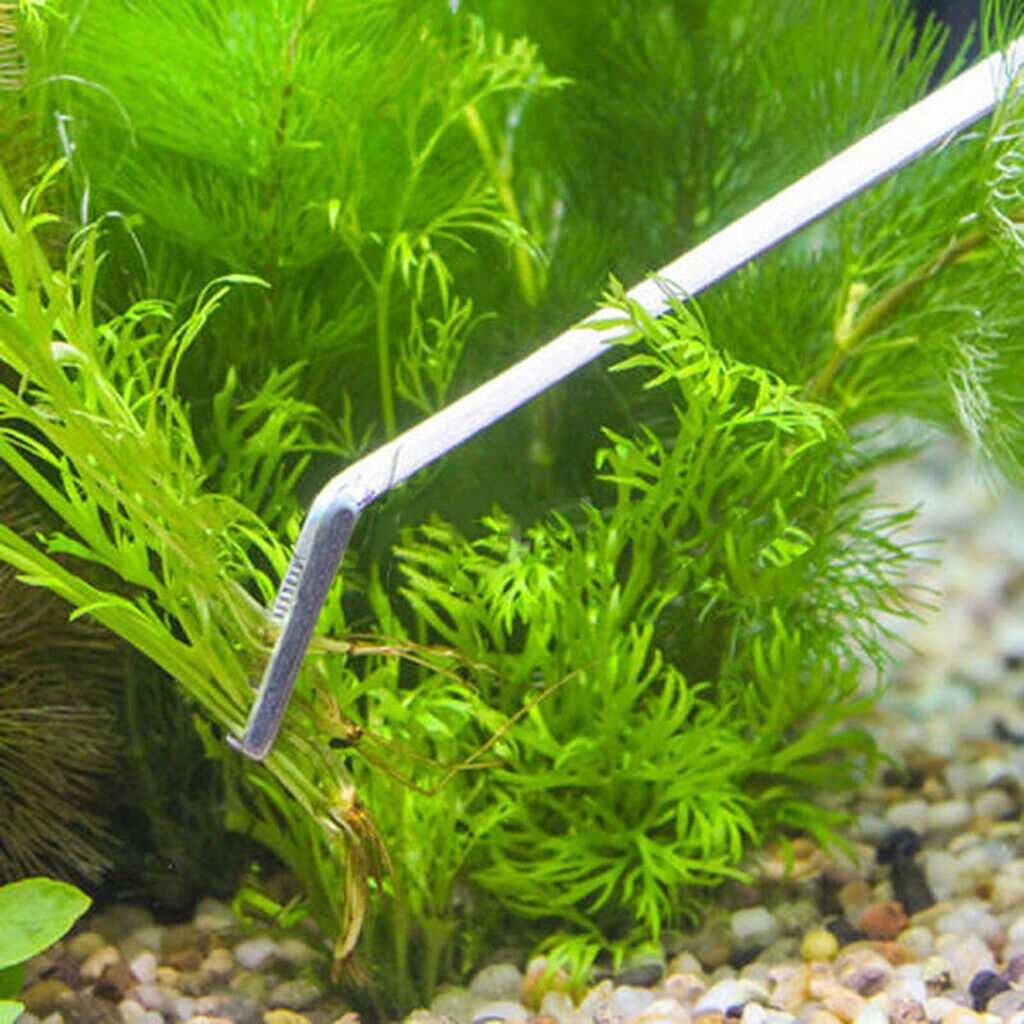 Set of 2, Aquarium Live Tank Water Plant Aquascaping Tools Tweezer Scissors