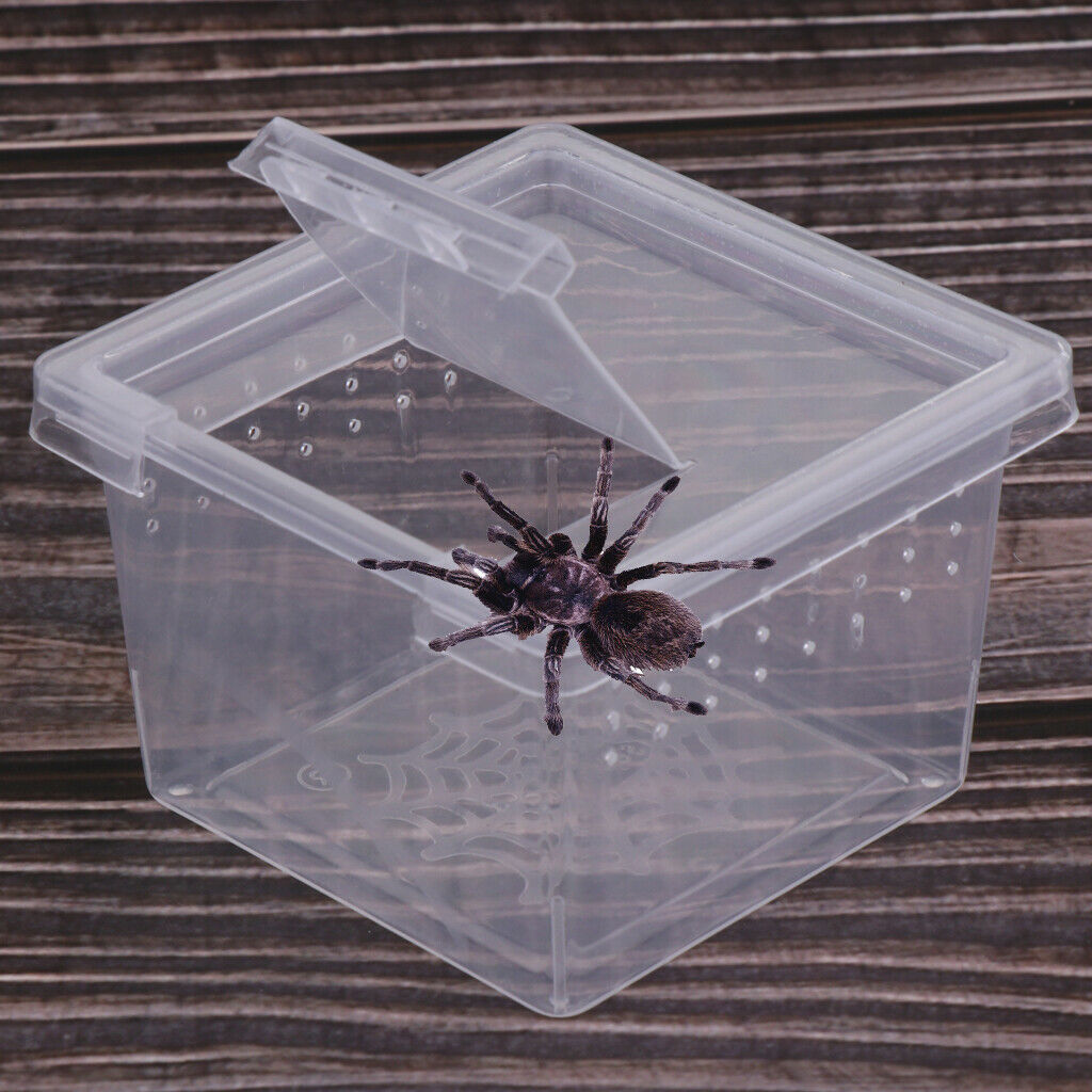 30pcs Reptile Feeding Container Turtle Hatching Tank For Lizards Frogs