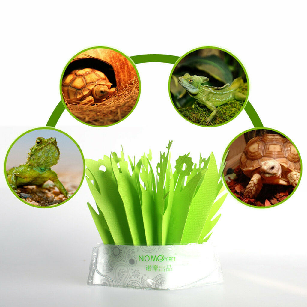 Environmental Repellent Humidifier For Snakes  Frogs - Green