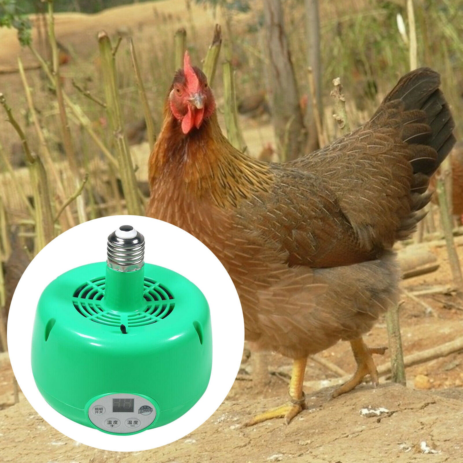 Pet Heat Light Fan E27 Poultry Bulb Reptile Lizard Heating Lamp Pig Emitting