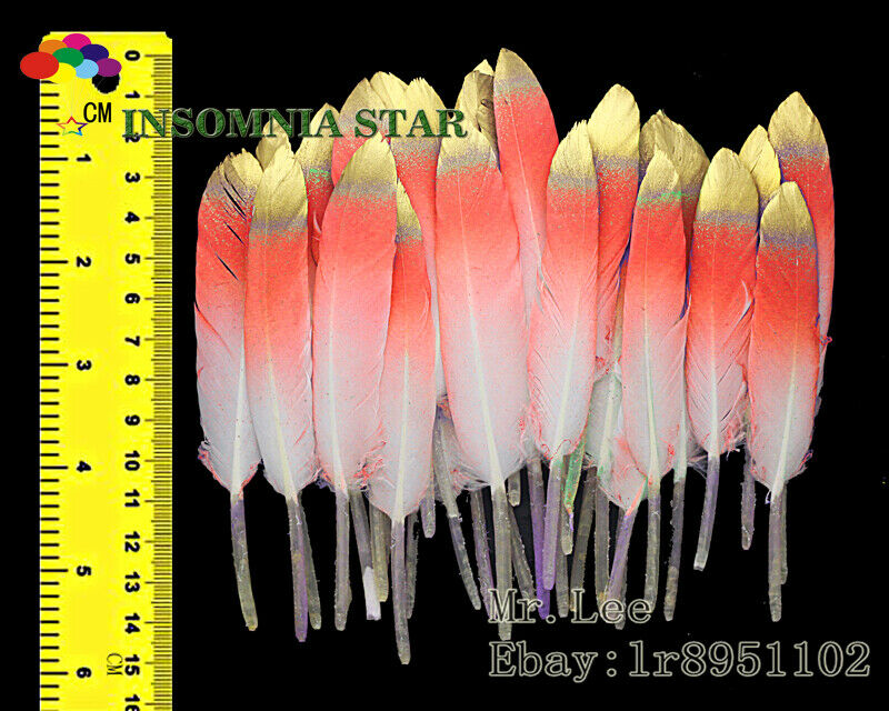 100 pcs watermelon red Colorful Natural Goose Feather 10-15cm/4-6 inches