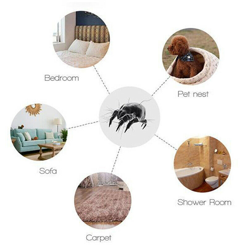 Anti-mite Pad for Home Killing Small Worms Household Worms Dust Mite.l8