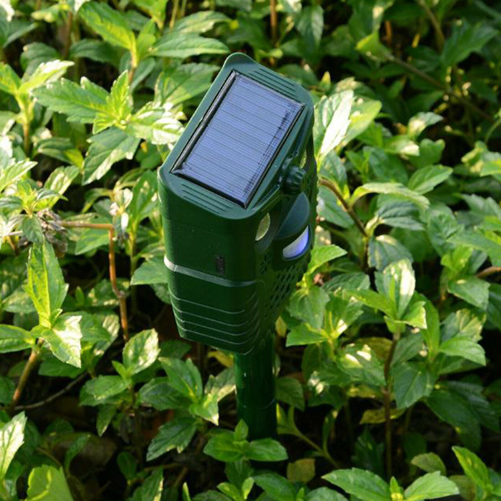 Solar Ultrasonic Bird Animal Repeller Raccoon Cat Scarer Deterrent Control