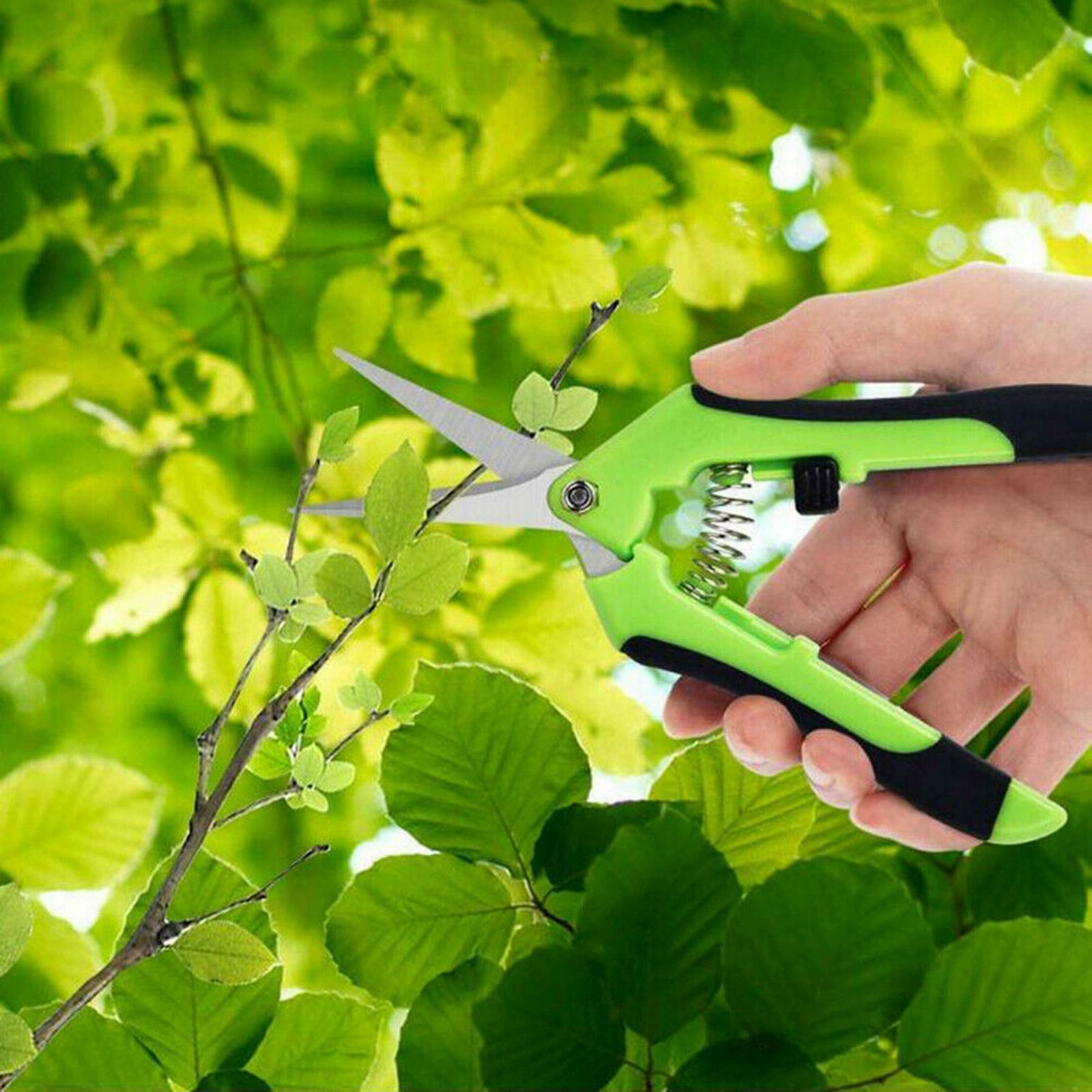 Garden Pruning Shears with Safety Lock , Pruner Tool, Gardening Clippers