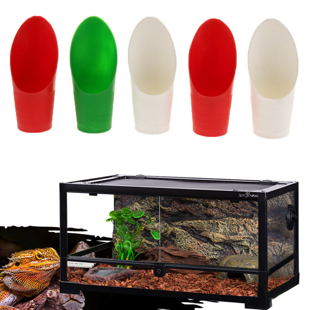 5 Pack Reptile & Amphibian Terrarium Box Landscape Tool Shovel Can