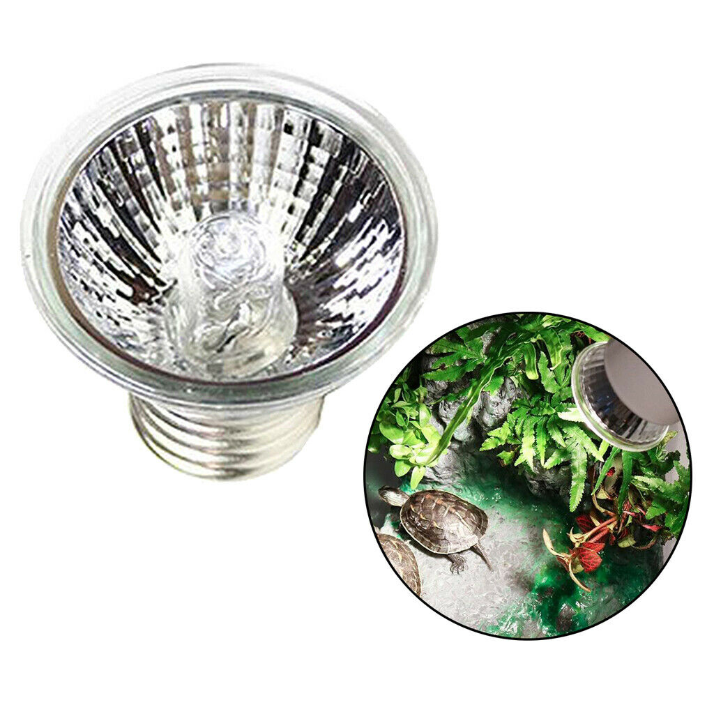 Reptile Heating Lamp Lizard Tortise Snakes Spiders Pet Supply Esy to Use 25W