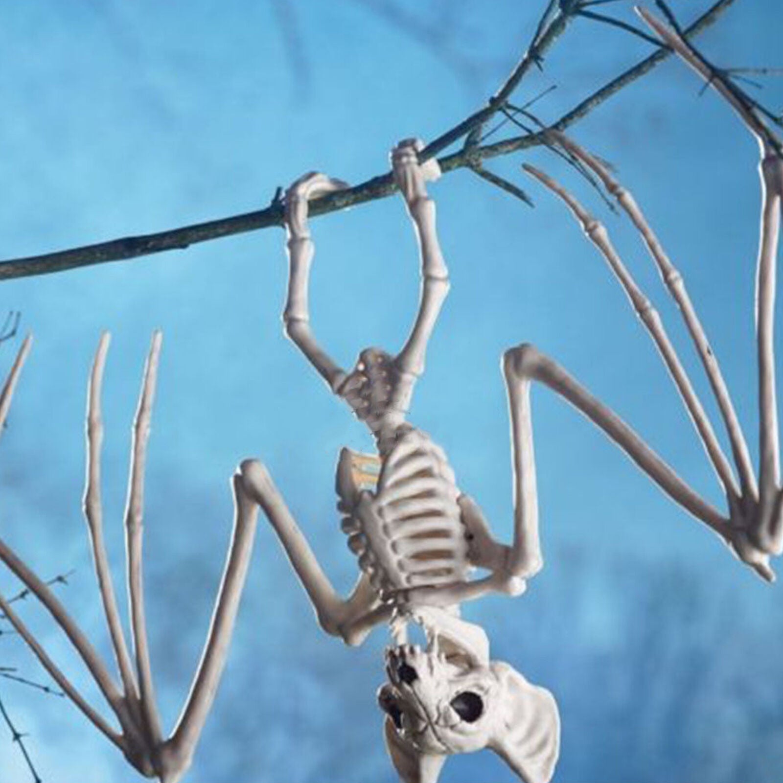 11.8" Creepy Skeleton Bat Bonez Halloween Scene Party Scary Decor Props AU GIFT