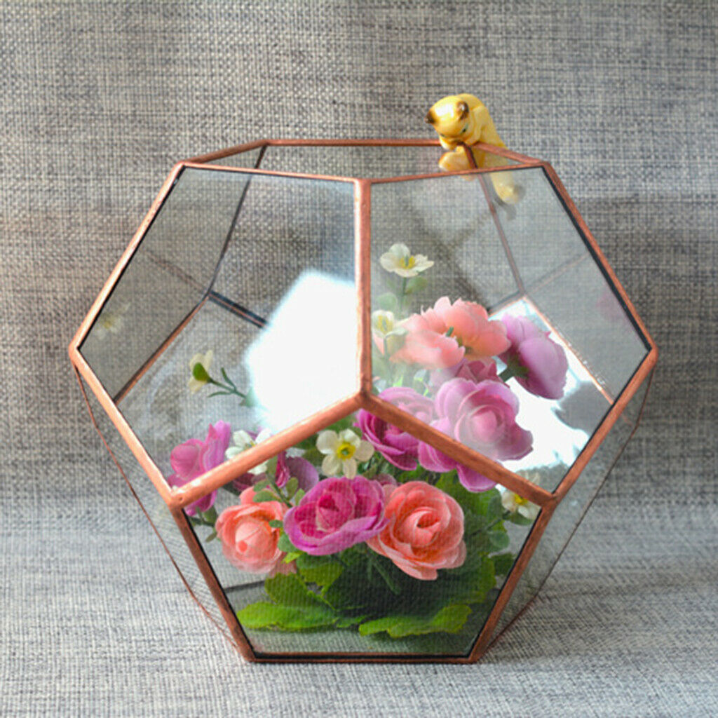 2x Glass Brass Terrarium Box Tabletop Succulent Plant Planter Flower Pot