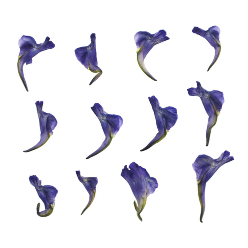 12 Pieces Of Real Dried Leaves Handmade Pressed Flower Dried Flowers For