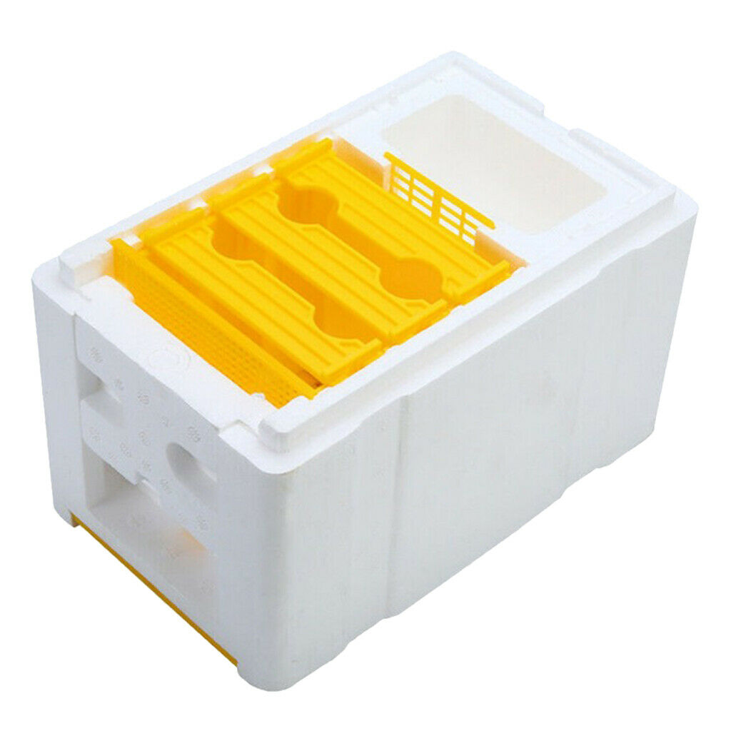 Bee Tail Box Bee Pollination Box Beehive King Box for Beekeeper Starter