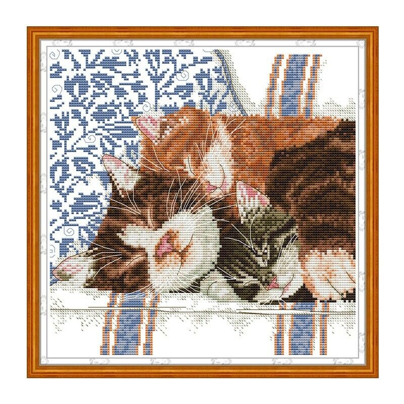 Cross Stitch Kits Stamped for Adults Beginner Kids 11CT DIY Embroidery NeedlR5O8