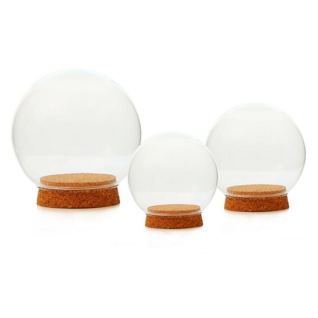 2Pack Dia 12cm Clear Glass Dome Cover Cloche Round Jar Succulent Terrariums
