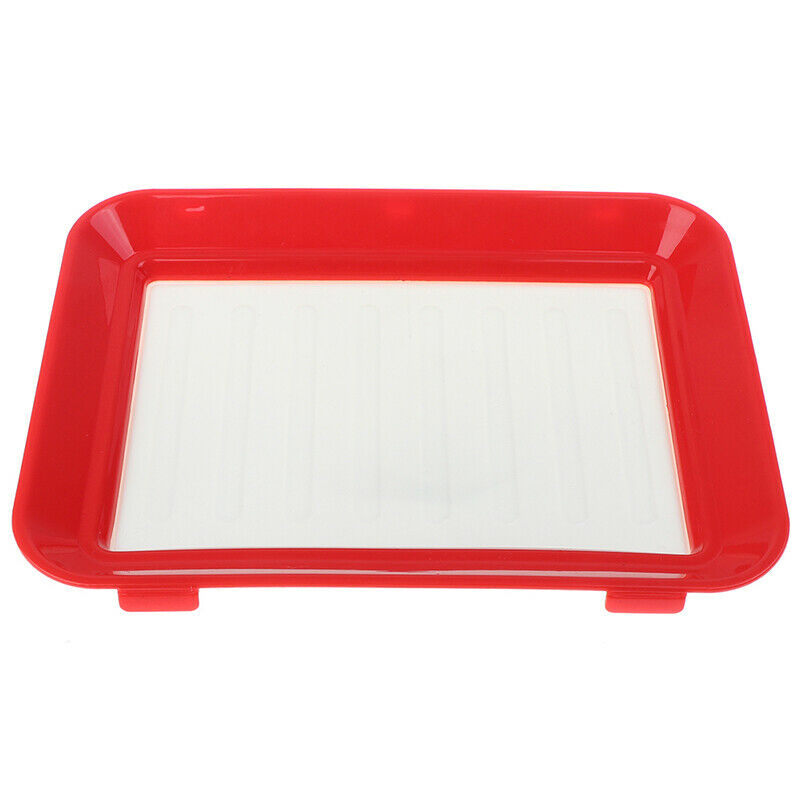 Fresh Food Preservation tray Organizer Pallet Refrigerator Food Kitchen GadgBDA