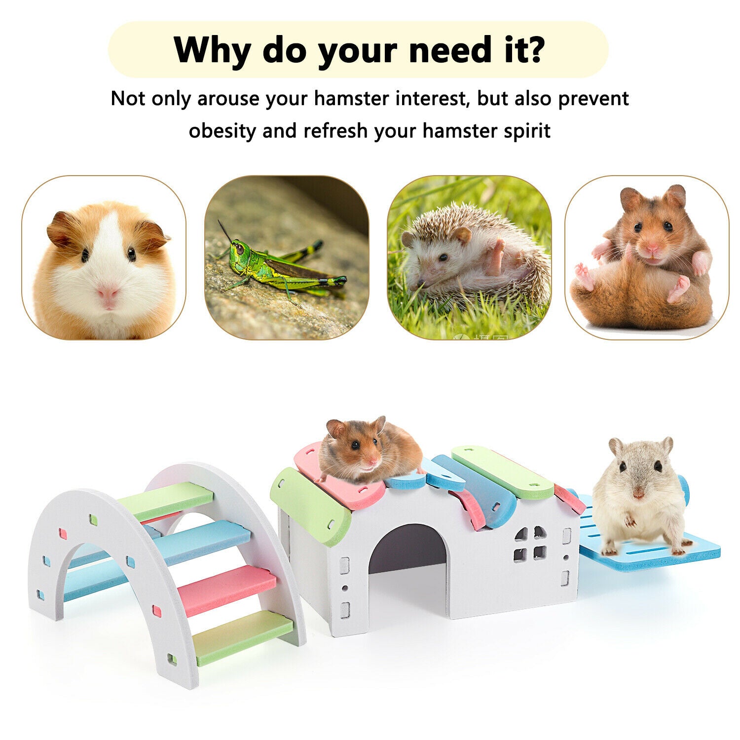 Pet Tooth Chew Toys Wooden Hamster House Chew Grass Balls Rainbow Hamster Toys