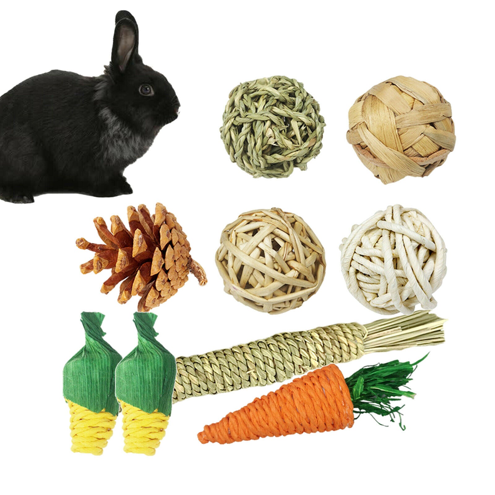 9 Pieces Hamster Chew Toys Guinea Pigs Toys Accessories Teeth Care Exercise