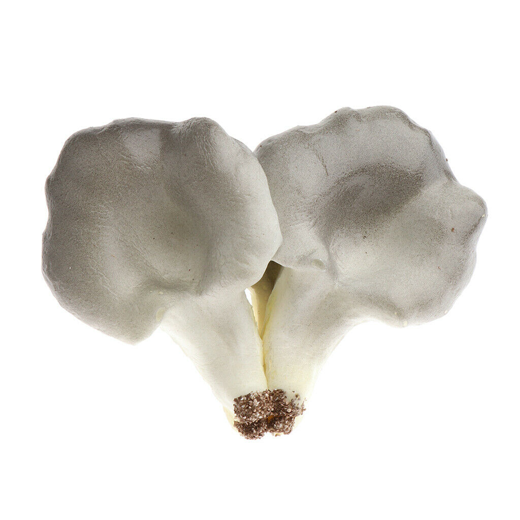 Realistic Artificial Fruits yster mushroom for Home Kitchen Decoration