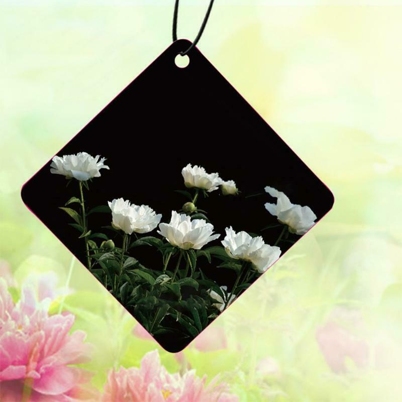 Scented Cards Air Freshener Hanging Automotive Smell Interior Decor for Locker