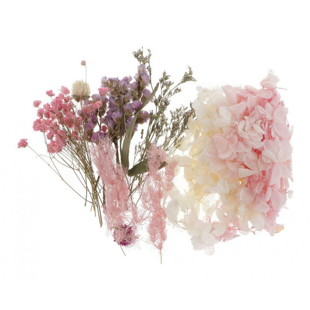 Natural Dried Flowers Leaves for Cards Making Jewelry Making Paper Art