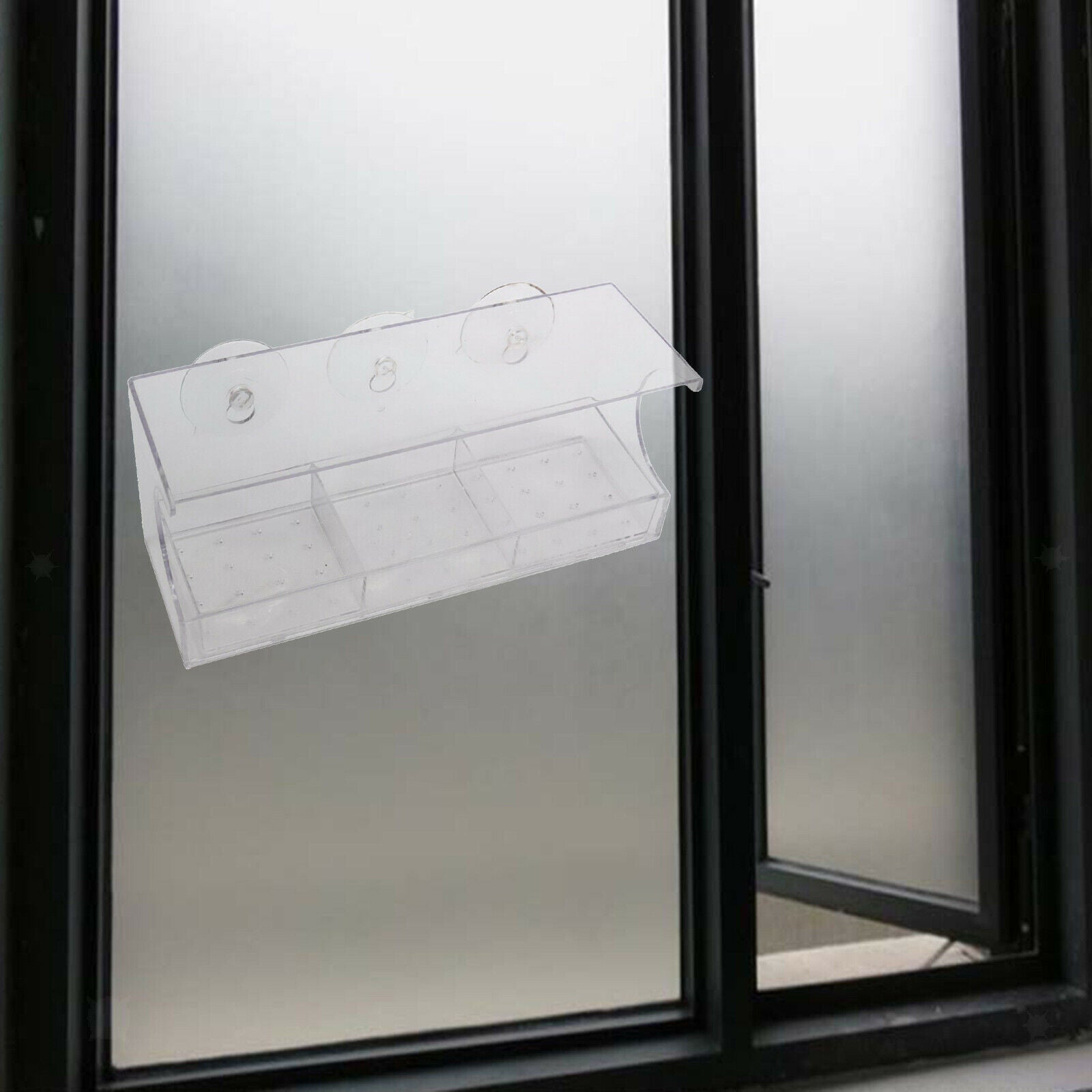 Window Bird Feeder Transparent Viewing Compact for Wild Birds Blue Bird