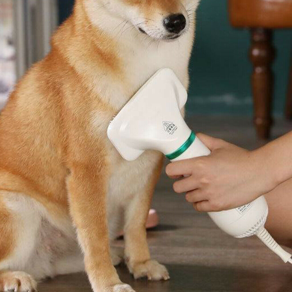 Pets Hair Dryer Blower Dogs Cat Blow Brush Grooming Comb Travel EU Plug