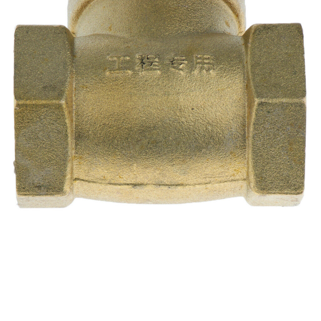 High pressure backflow preventer 1 '' internal thread DN25 one-way check valve