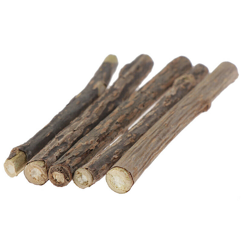5x Cat Cleaning Teeth Pure Natural Catnip Stick Pet Molar Toothpaste Snac.l8