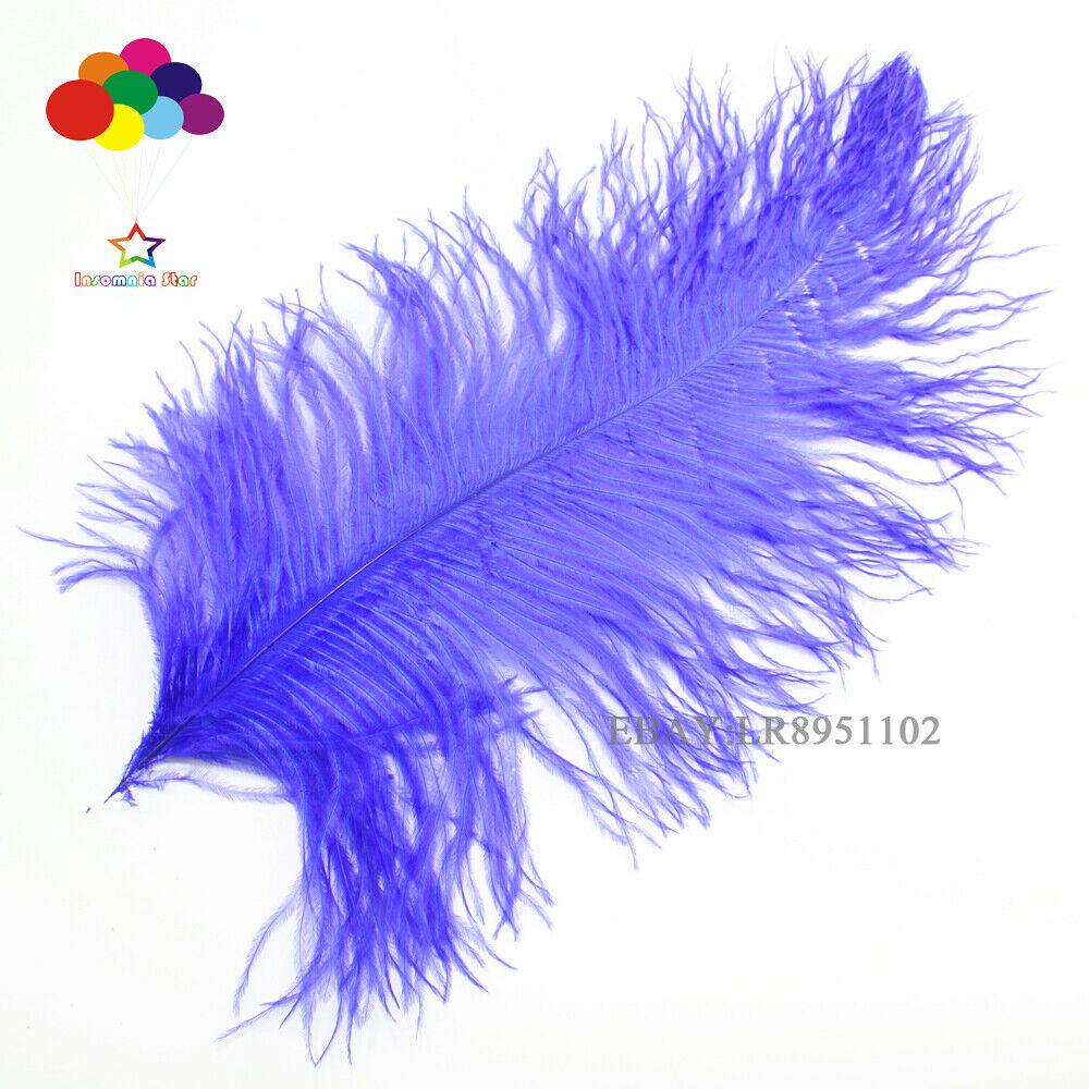 High Quality Royal Ostrich Feather 50 pcs 8-10Inch/20-25CM Home Decor Wedding
