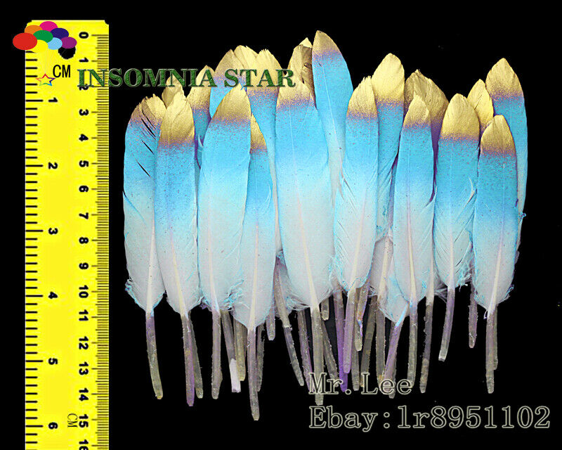 100pcs Beautiful Blue lake Colorful Natural Goose Feather 10-15cm/4-6 inches
