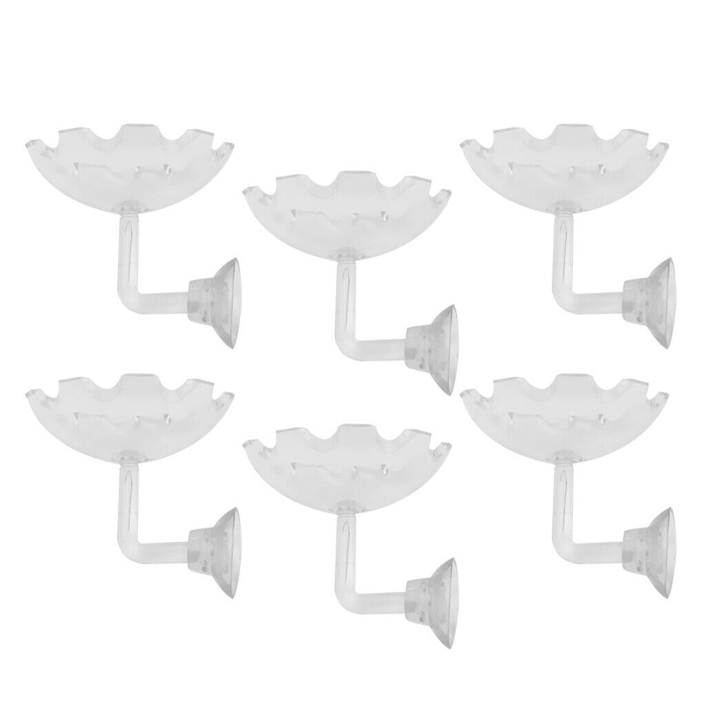 6x Shrimp Feeding Bowl Dish Food Round Dishes Small Fish Feeding Bowl Ornamental