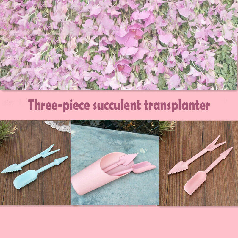5PCS Gardening tools/supplies three-piece succulent transplanter punch locator