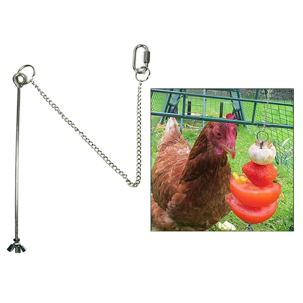 Stainless Steel Bird Food Holder Parrots Canary Macaws Finches Cockatiel