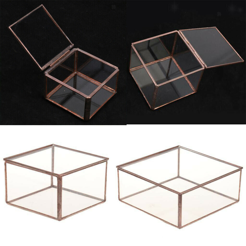 Geometric Glass Jewelry Box Tabletop Terrarium Plant Succulent Planter Box L