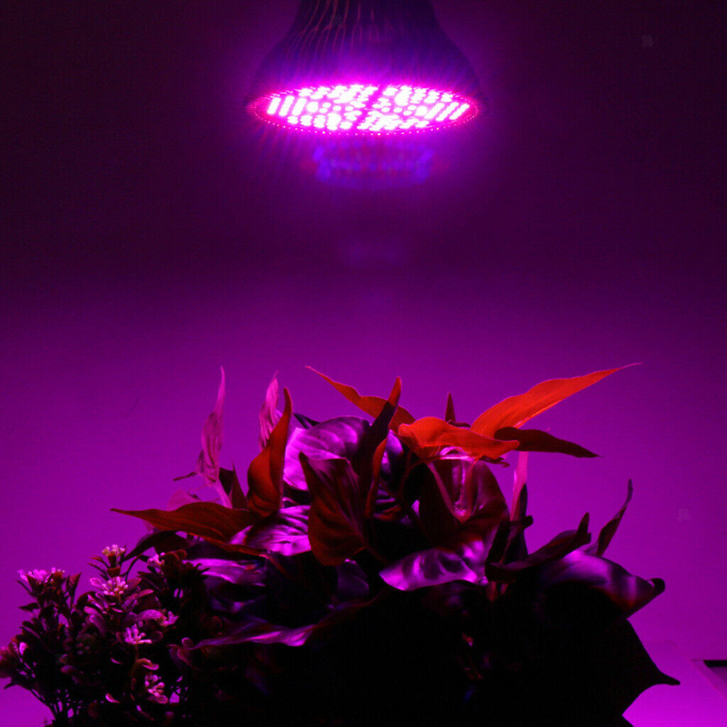 LED Grow Light Bulb Hydro Full Spectrum Indoor Plant Veg Flower  30W