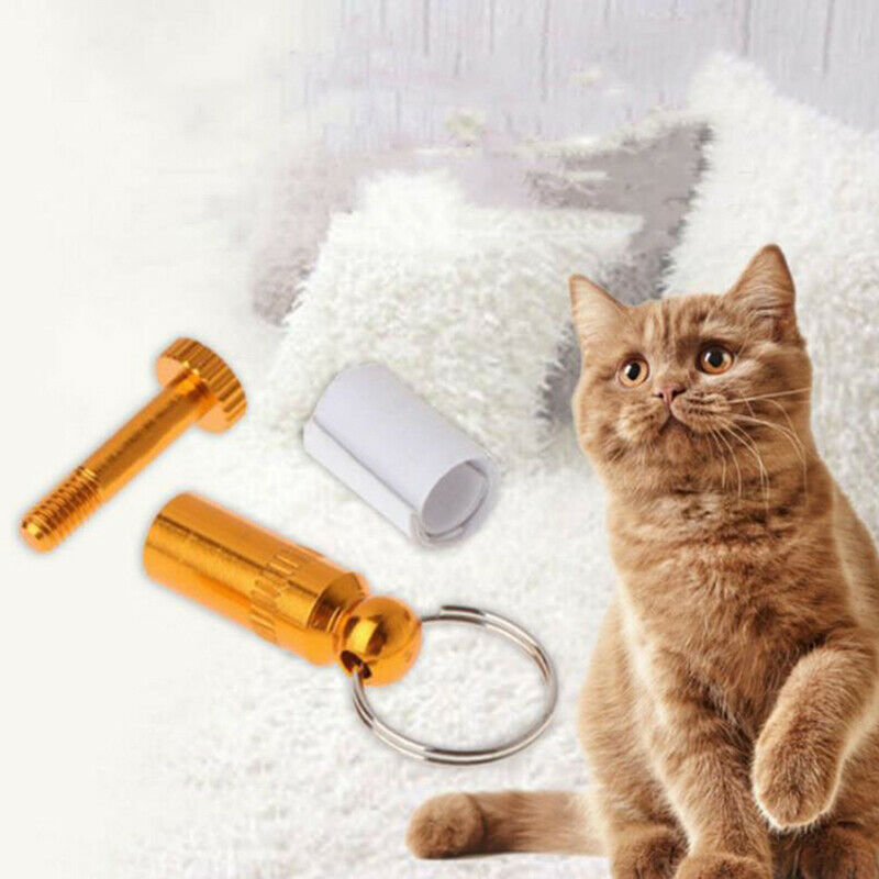 Pet Cat Anti-Lost Puppy ID Address Name Label Tag Barrel Tube Collar Lea.l8