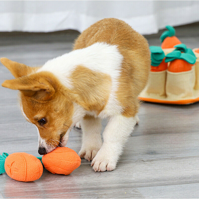 Pet Dog Snuffle Mat Sniffing Training Carrot Blanket Detachable Fleece PadsB Tt