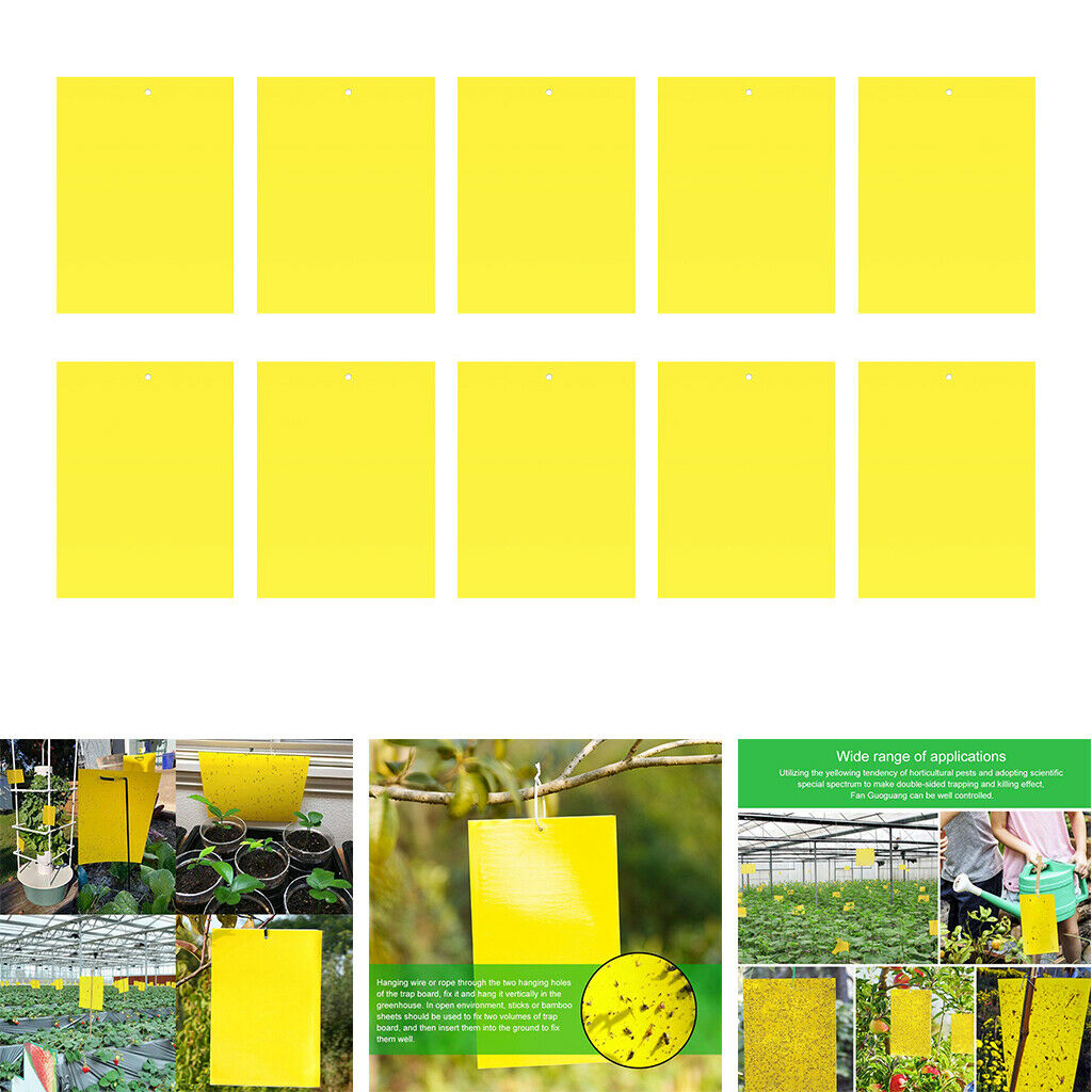 Sticky Gnat Traps for Flying Plant Insect Whiteflies Aphids 10pcs