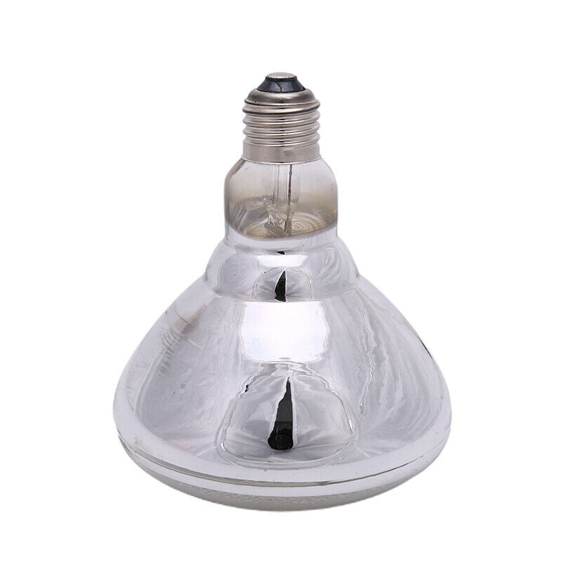 Pet Warm Light Water Proof Infrared Heating Lamps Bulb Pet Warm Light Bulb 2BDA