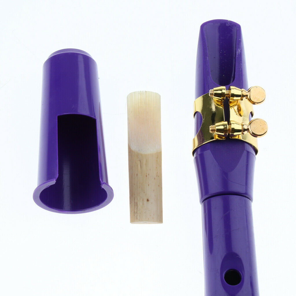 1 Piece Pocket Simple Mini Saxophone Clarinet Black Tube Instrument Purple