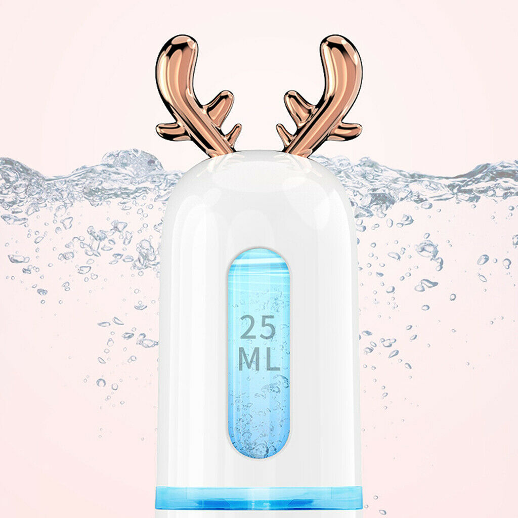 2 Packs USB Facial Nano Spray Hydrating Spraying Machine Moisturizing Tool