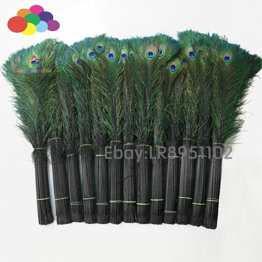 100 pcs quality black peacock feathers 70-80cm DIY wedding living room decorated