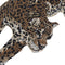 1 Pair Leopard Embroidery Patches for Coat Jacket Jeans Applique Sew on Supplies
