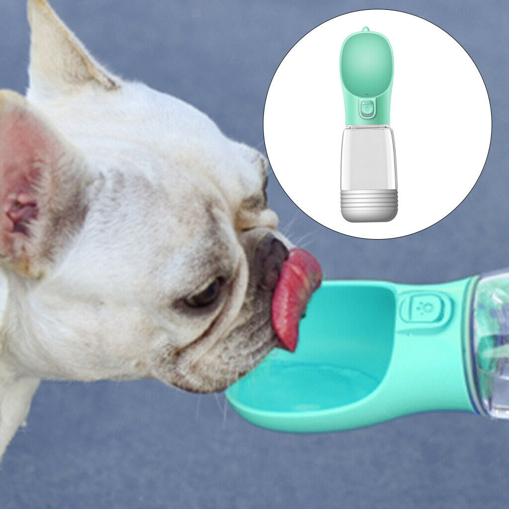 Dog Bottle Outdoor Puppy Drinking Poop Bag Dispenser Feeder Tray Green