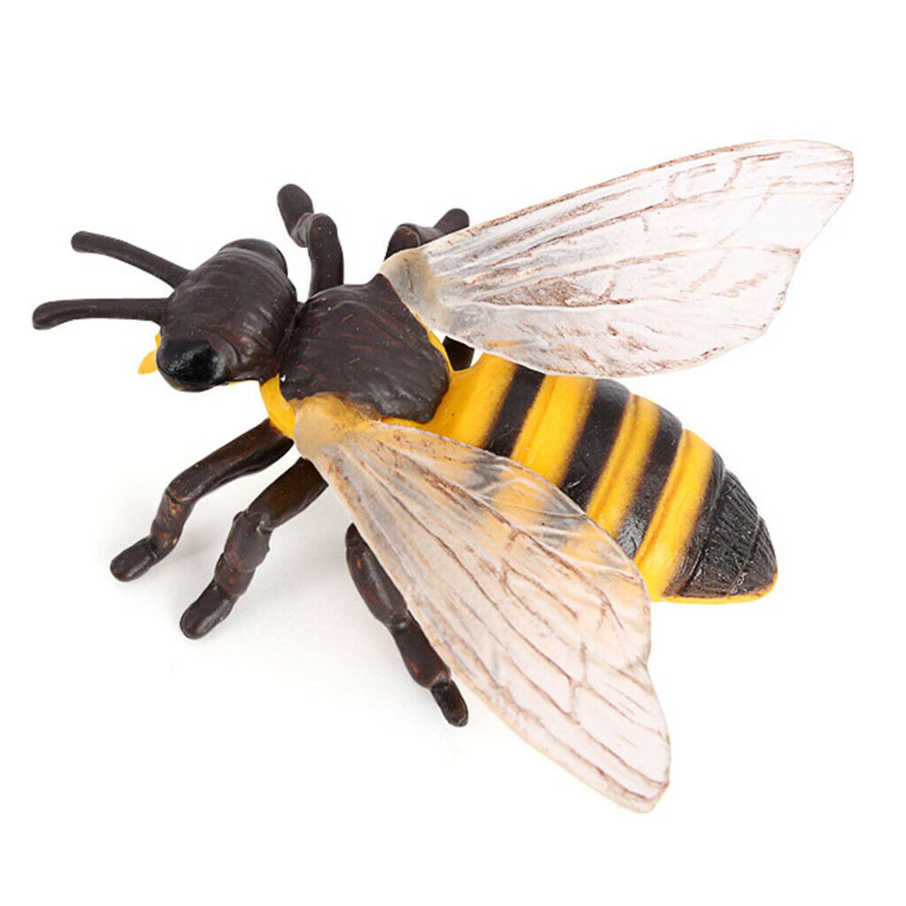 Lifelike Kids Insects Bee Growth Cycle Playset Cognitive Toys Role Play