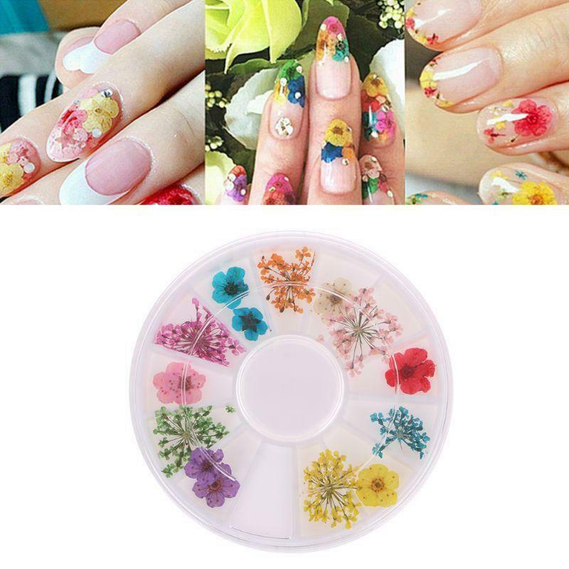 Real Nail Dried Flowers Nail Art Decoration DIY Tips Case Small Flowers Nails