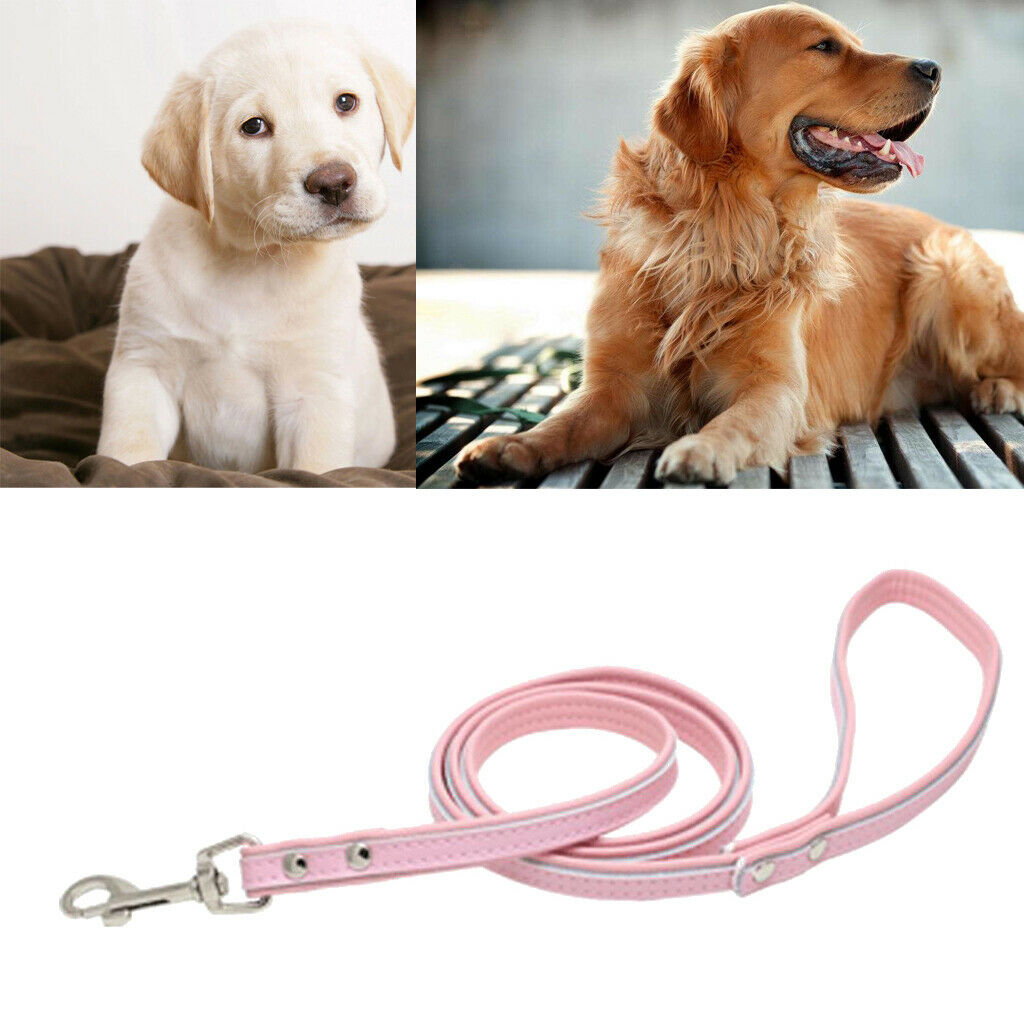 Pet Dog Leash Traction Rope Dog Walking Leash Training Harness Pink
