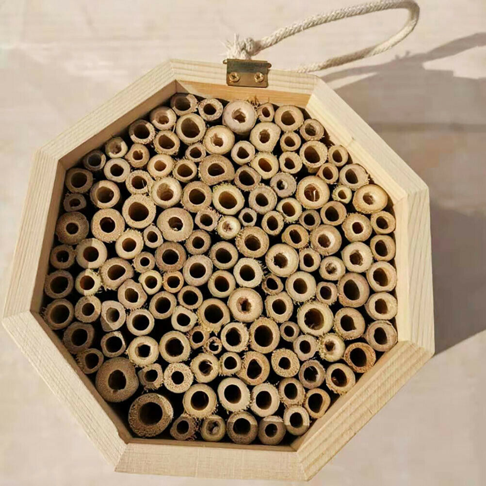 1Pcs Wooden Bee House Set Tube Beekeeping Box Bees Nesting Box Garden Insect Box